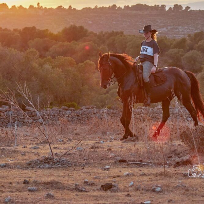 naturacavall_montar_a_caballo_mallorca_galopar_campo_champan_web_5.jpg